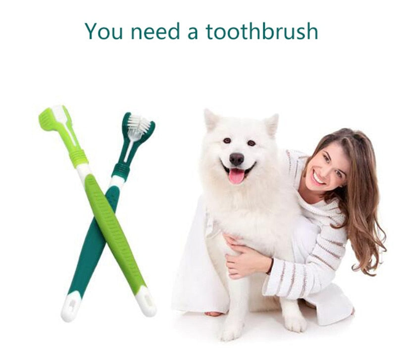 Pet Toothbrush Three-Head Toothbrush