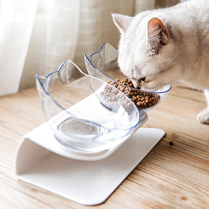 Pets water and feeding Bowl